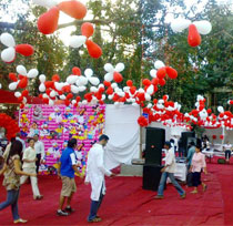 Birthday party organisers